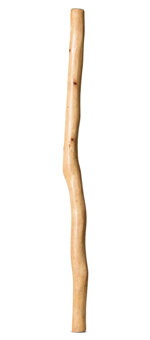 Medium Size Natural Finish Didgeridoo (TW1685)